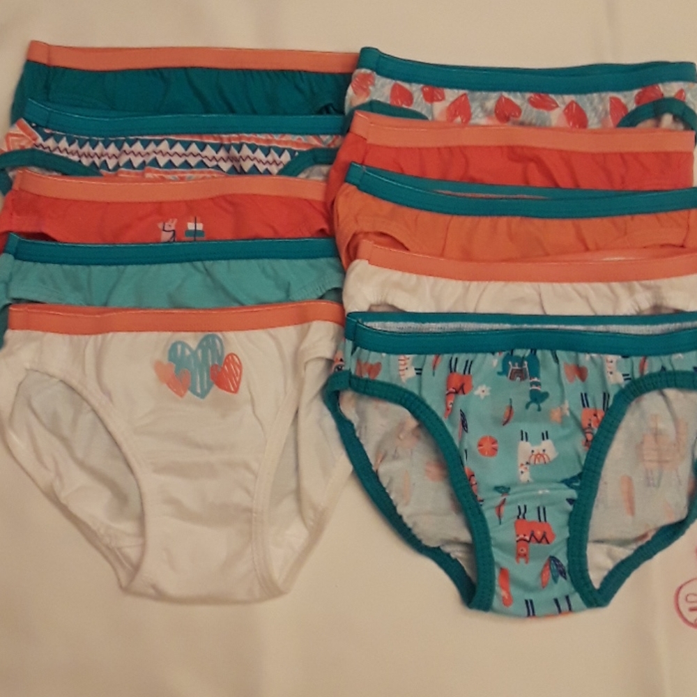 Hanes Girls Hipster Briefs size 6 NWOT